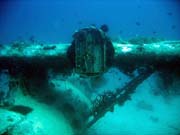Diving around Biak islands, Catalina wreck dive site. Papua, Indonesia.