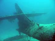 Diving around Biak islands, Catalina wreck dive site. Papua, Indonesia.