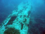 Diving around Biak islands, Catalina wreck dive site. Papua, Indonesia.