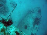 Diving around Biak islands, Catalina wreck dive site. Papua, Indonesia.