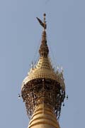 Shwedagon Paya, Yangon. Myanmar (Burma).