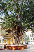 Shwedagon Paya, Yangon. Myanmar (Burma).