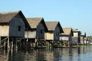 Water life. Inle Lake. Myanmar (Burma).