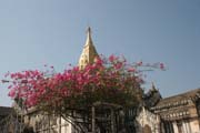 The Temples of Bagan cover an area of 16 square miles. The majority of its buildings were built in the 1000s to 1200s, during the time Bagan was the capital of the First Burmese Empire. Myanmar (Burma).