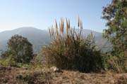 Around Mindat village. Chin State. Myanmar (Burma).