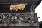 Traditional houses of Chin people are mostly decorated by hunting trophies. Chin State. Myanmar (Burma).
