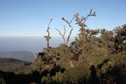 On the way to Mt. Victoria. Chin State. Myanmar (Burma).