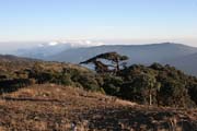 View from the top of Mt. Victoria. Chin State. Myanmar (Burma).