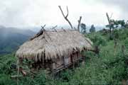 Traditional house. Laos.