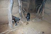 Ground floor of tata somba house - warehouse and place for animals. Boukoumb area. Benin.