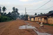 One part of 4 kilometers long Road of the saves (Route des Esclaves) in Ouidah town. Road went from fort at center of the town to the seaside where ships waited. They carried slaves to America. Benin.