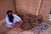 Chewing tobacco. Very popular among nomads. Agadez town. Niger.