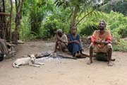 Pygmy village down to the Lobe River. The Pygmy people are forest dwellers, know the forest, its plants and its animals. They live by hunting animals such as antelopes, pigs and monkeys, fishing, and gathering honey, wild yams, berries and other plants. Cameroon.