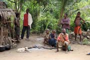 Pygmy village down to the Lobe River. The Pygmy people are forest dwellers, know the forest, its plants and its animals. They live by hunting animals such as antelopes, pigs and monkeys, fishing, and gathering honey, wild yams, berries and other plants. Cameroon.