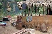 Pygmy village down to the Lobe River. The Pygmy people are forest dwellers, know the forest, its plants and its animals. They live by hunting animals such as antelopes, pigs and monkeys, fishing, and gathering honey, wild yams, berries and other plants. Cameroon.