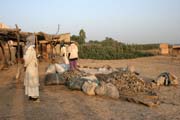 Life around Chari river. Lake Chad area. Cameroon.