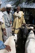 Market at the bank of Chari River. Lake Chad area. Cameroon.