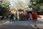 Traditional dance at Oudjilla village. Cameroon.