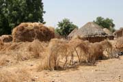 Local village behind Waza National Park gate direction to the Maga village. Cameroon.