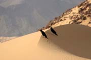 Sahara landscape at Zarzen area. Niger.