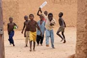 Iferouane oasis. Sahara desert. Niger.