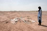 Skeleton of dinosaur - brontosaurus. Dinosaur cemetery near Agadez town. Niger.