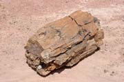 Fossilized trees. Dinosaur cemetery near Agadez town. Niger.