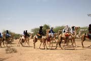 Coming to Gerewol festival. Niger.