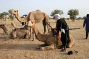 Snapshot from Gerewol festival. Niger.