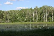 North Shore area, Minnesota. United States of America.