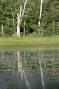 North Shore area, Minnesota. United States of America.