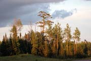 North Shore area, Minnesota. United States of America.