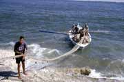 Fishermen in Alexandria. Egypt.