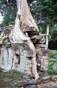 Preah Khan tempel - one of the few left in the jungle. Angkor Wat temples area. Cambodia.
