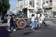 Street in Alexandria. Egypt.