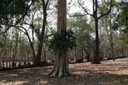 Kamphaeng Phet Historical Park. Thailand.
