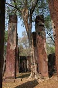 Kamphaeng Phet Historical Park. Thailand.