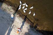 Awesome Prague panorama from balloon. Czech Republic.