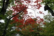Ginkaku-ji temple (Temple of Silver Pavilon), Kyoto. Japan.