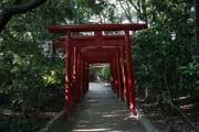Shrine at Fukuoka. Japan.
