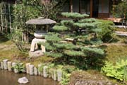 Kenroku-en garden, Kanazawa town. Japan.