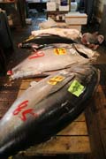 Tsukiji fish market, Tokyo. Japan.
