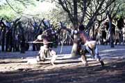 Zulu village. South Africa.
