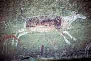 Bushman paintings, Royal Natal National park, Drakensberg. South Africa.