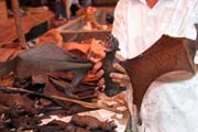Bat (flying fox), market at Tomoho village. Indonesia.