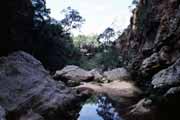 l'Isalo National park. Madagascar.