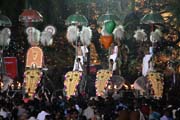 Pakalpooram (elephant procession), Ernakulam Shiva Temple Festival (Ernakulathappan Uthsavam). Ernakulam, Kerala. India.