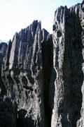 Grands Tsingy, Tsingy de Bemaraha National park. Madagascar.
