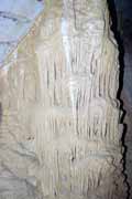 Limestone, Grotte des Chauves-Souris cave, l'Ankarana National park. Madagascar.