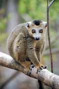 Madagascar